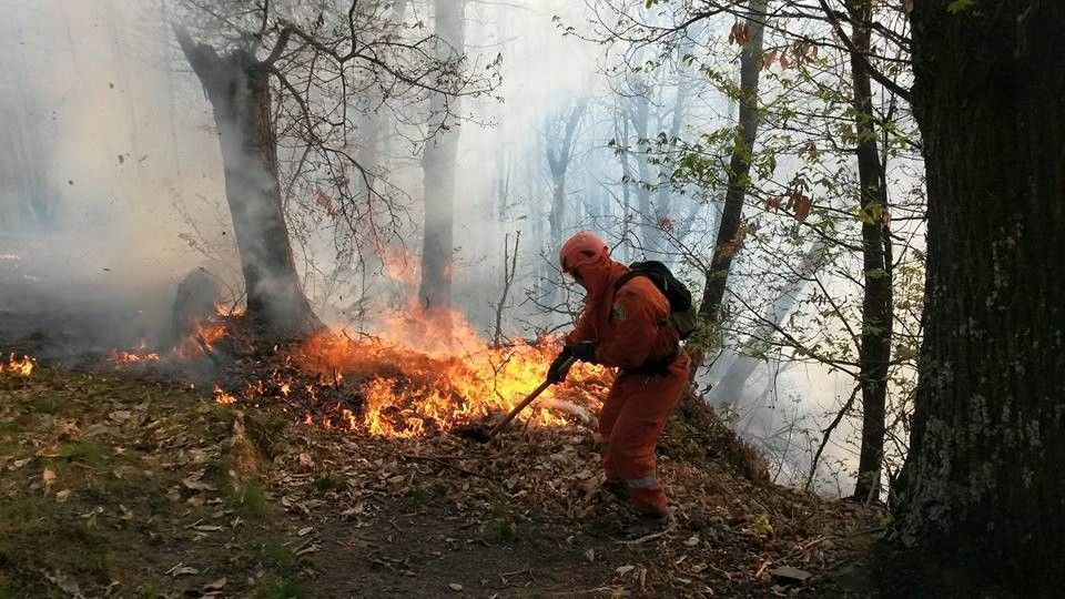 Prevenzione incendi nel periodo estivo: l'ordinanza del sindaco